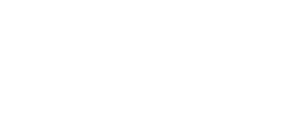 Logo del progetto STAKE